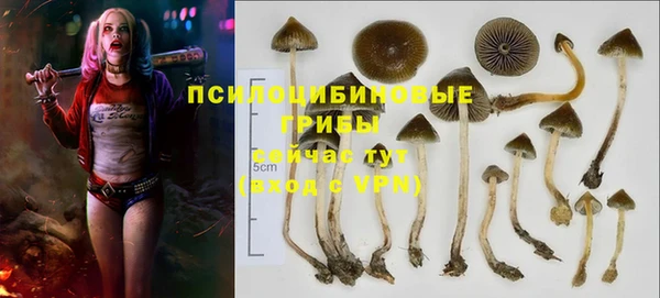 альфа пвп Зеленодольск