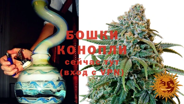 ГАЛЛЮЦИНОГЕННЫЕ ГРИБЫ Зеленокумск