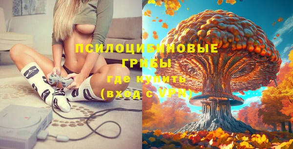 ГАЛЛЮЦИНОГЕННЫЕ ГРИБЫ Зеленокумск