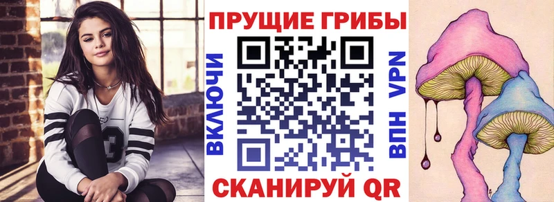Псилоцибиновые грибы Cubensis  Купить где  Вышний Волочёк 